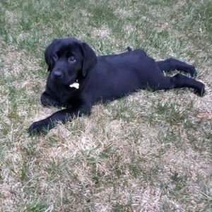 Meet your Posher, Eric